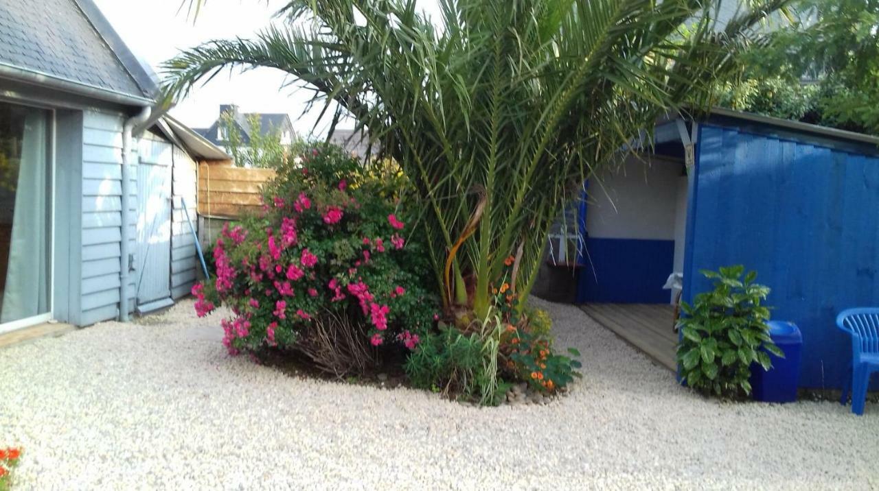 Le petit cottage entre village et mer Trélévern Extérieur photo