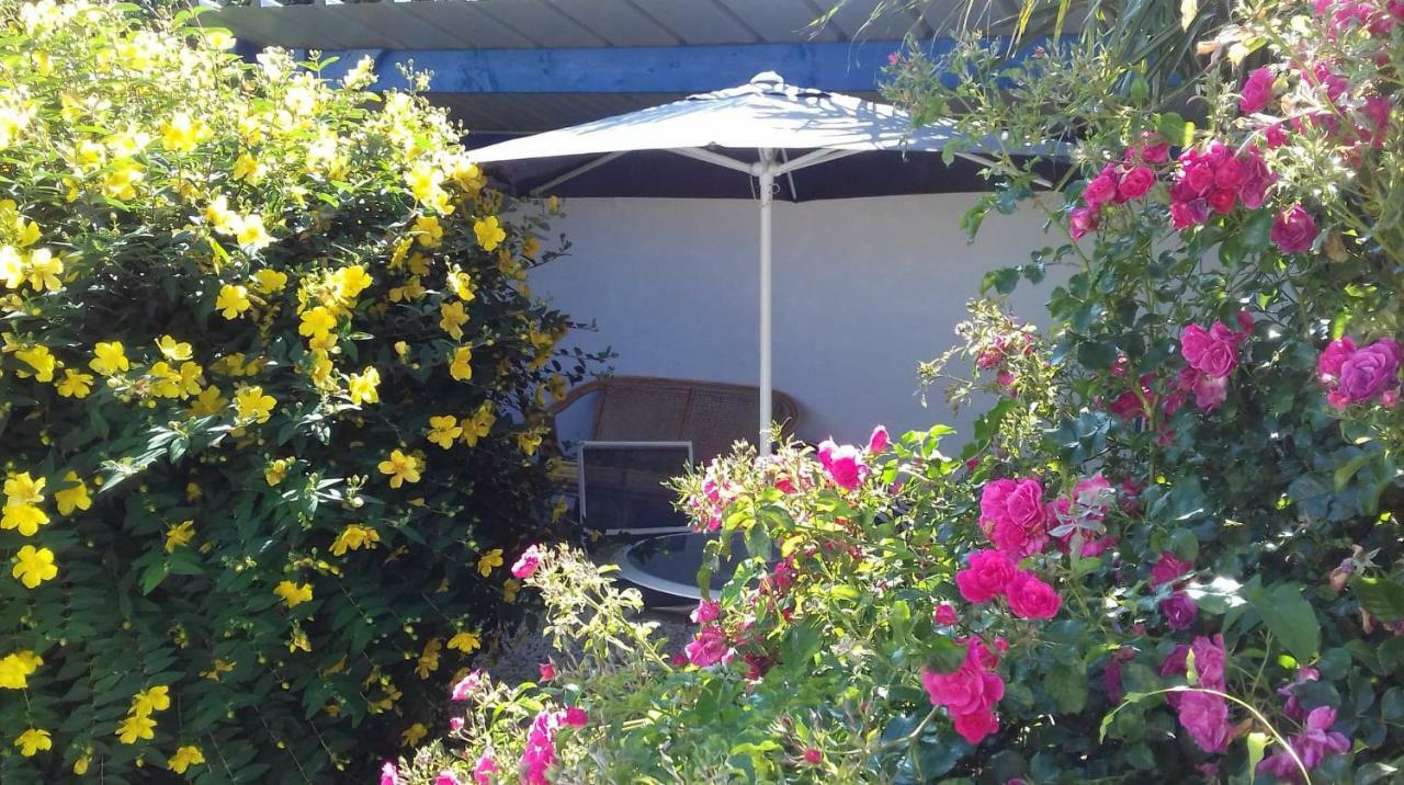 Le petit cottage entre village et mer Trélévern Extérieur photo