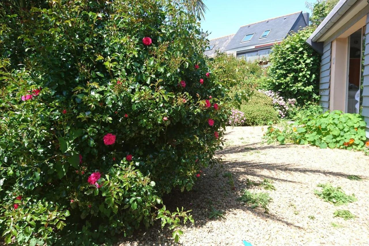 Le petit cottage entre village et mer Trélévern Extérieur photo